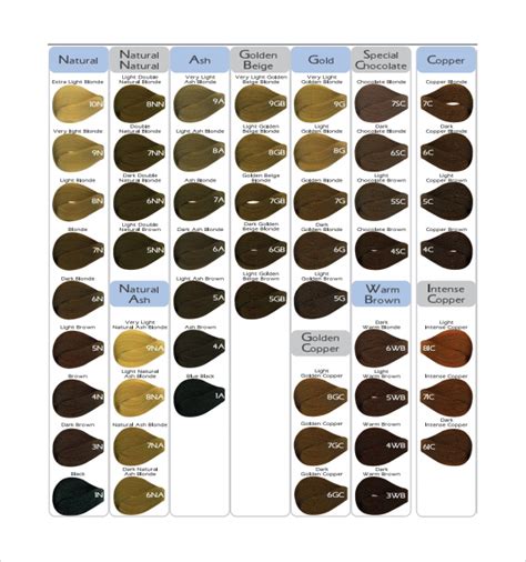 sample hair color chart templates