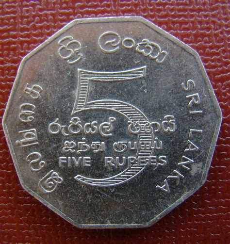 discover srilanka sri lanka coins