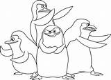 Pingwiny Madagaskaru Kolorowanka Rysunek Druku Madagaskar sketch template