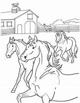 Breyerhorses Herd sketch template