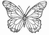 Butterfly Coloring Pages Hard Colouring Detailed Printable Monarch Butterflies Getdrawings Getcolorings Colorings sketch template