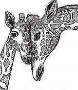 Giraffe Exotic Giraffa Pursuits Jirafas Jirafa Mandalas Zentangle sketch template