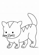 Chaton Mignon Colorier Kittens Dort Gratuits Adorable Coloringhome Greatestcoloringbook sketch template