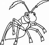Ants Marching Ant Hormigas Bunnies Clipartmag Coloringme Getcolorings sketch template