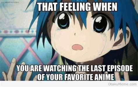 32 Best Anime Memes On The Internet To Laugh At Sfwfun