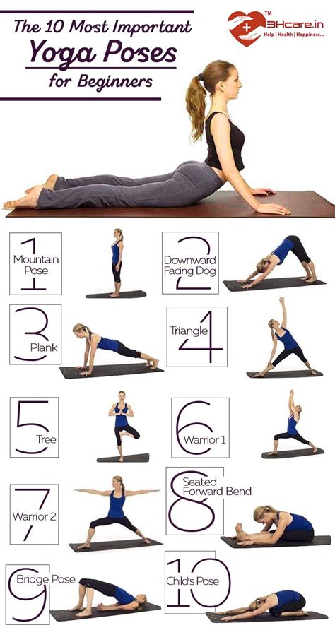 important yoga poses  beginners yogawalls