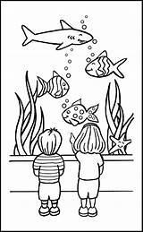 Aquarium Coloring Pages Edward Pm Posted sketch template
