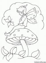 Colorare Coloring Pilz Duendes Hadas Disegni Fata Cogumelo Elfen Elfi Fairy Colorkid Champignon Dibujos Fairies Setas Magica Malvorlagen Fungo Bacchetta sketch template