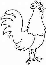 Outline Hen Rooster Drawing Chicken Clipart Colouring Hens Cute Colour Drawings Simple Cartoon Animal Coloring Pages Printable Draw Kid Roosters sketch template