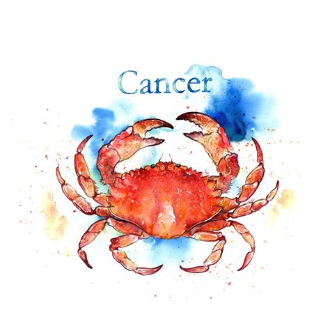 proud cancer 7 12 zodiac signs cancer crab art crab tattoo