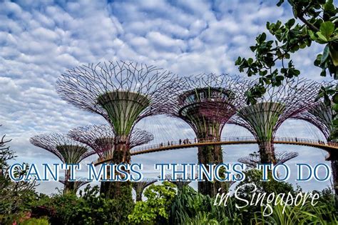 11 magical things to do in singapore things to do