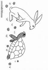 Hare Tortoise Coloring Pages Color Hellokids Giant Print Reptile Drawings Popular sketch template