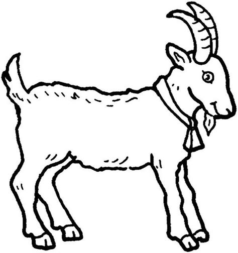 picture   goat  farm animal coloring page kids play color farm