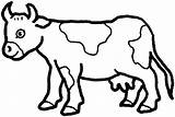 Cow Coloring Pages Color Kids Horn Long Printable Cute Print Cows Clipart Farm Head Colouring Colour Sheets Kidsplaycolor Animal Clipartbest sketch template