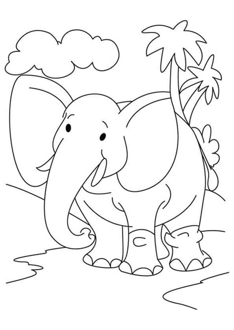 elephant coloring pages printable