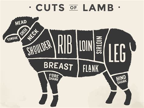 cut  beef set poster butcher diagram  scheme lamb beech ridge