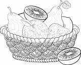 Basket Still Life Fruit Drawing Fruits Vegetables Step Apples Getdrawings Contours Wattled Sweet sketch template