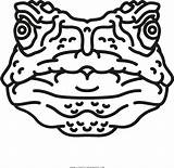 Sapo Toad Pinclipart Transparent sketch template