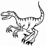 Velociraptor Dinosaur Raptor Dinosaure Kolorowanki Dinos Jurassic Dinosaurier Thecolor sketch template