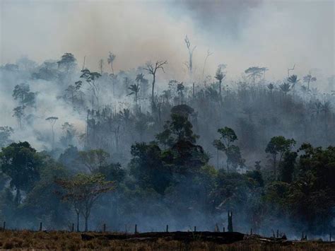 satellite images show increased amazon air pollution shropshire star