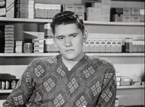 17 Best Images About Dick York On Pinterest My Way Cartoon And My Sister
