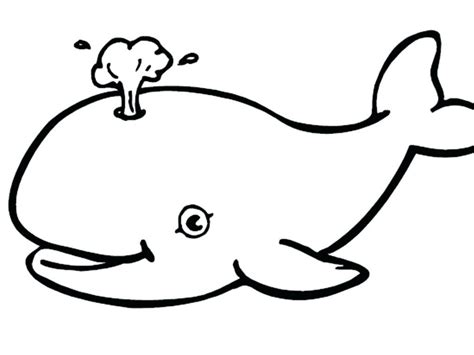 blue whale  drawing  getdrawings