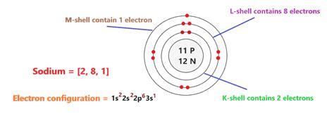 sodium bohr model how to draw bohr diagram for sodium na atom