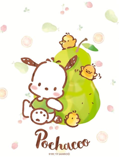 pochacco  kitty printables  kitty characters cute sketches