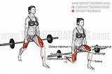 Barbell Squat Split Exercises Incline Dumbbell Glutes Weighttraining Muscles Glute Squats sketch template