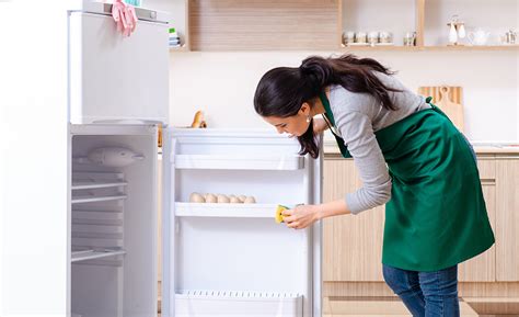 refrigerator  making  buzzing noise solutions