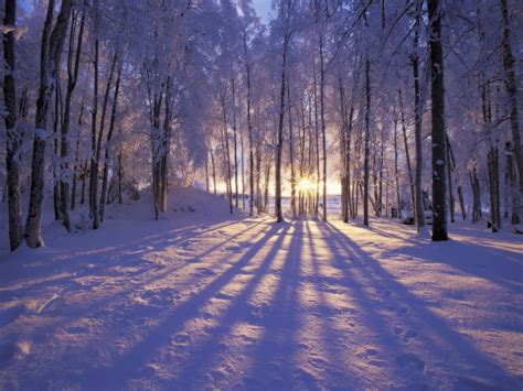 winter scenes wallpaper  images