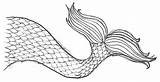 Tail Mermaid Coloring Pages Printable Educativeprintable Ariel Tails sketch template