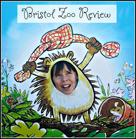 bristol zoo review  summer send   parent game