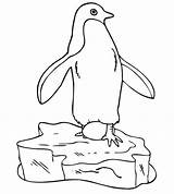 Penguin Egg sketch template
