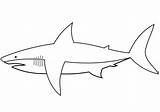 Shark Coloring Easy Sharks Pages Printable Template Drawing Fish Templates sketch template