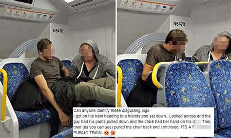 sydney couple engage in sex act on train daily mail online
