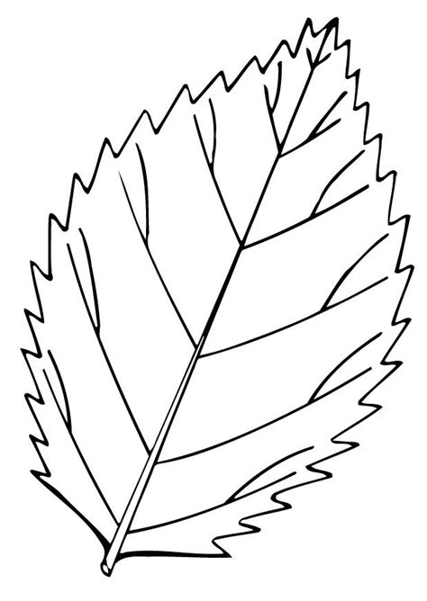 leaf coloring pages printable  kids hobby shelter fall coloring