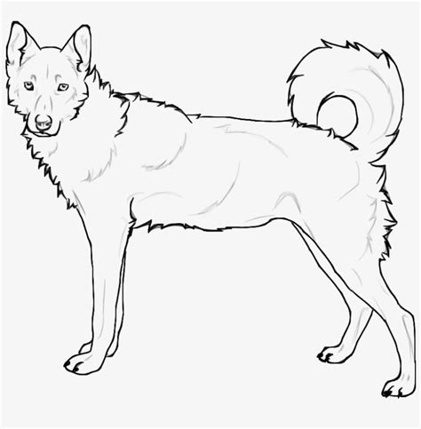 coloring pages  husky dogs siberian husky huskies coloring pages