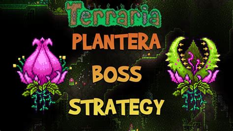 Terraria Plantera Boss Fight Guide Strategy Youtube