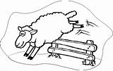 Sheep Fence Counting Jumping Coloring Over Pages Clipart Sleep Drawing Printable Cliparts Gif Kids Quality High Cant Getdrawings Color Library sketch template