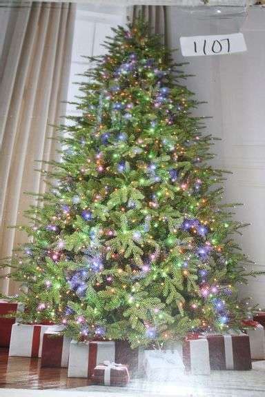 home decorators collection ft grand duchess balsam fir led pre lit tree retails