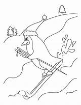Skiing Coloring Penguin sketch template
