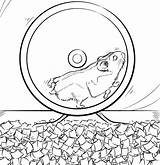 Hamster Coloring Pages Pets Printable Pet Cute Wheel Dwarf Color Kids Print Drawing Getcolorings Getdrawings sketch template