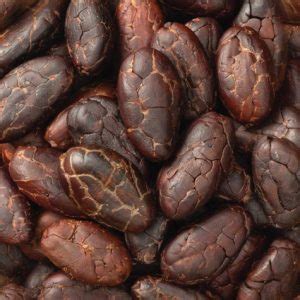 cacao beans jasa pengemasan