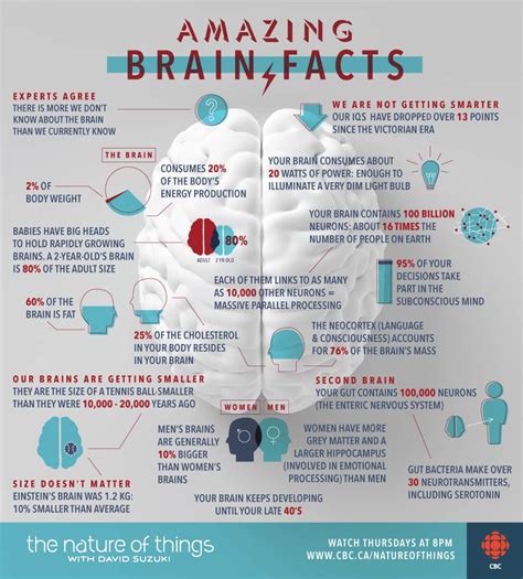 Amazing Brain Facts