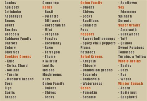 list  vegetables  pictures list  vegetables