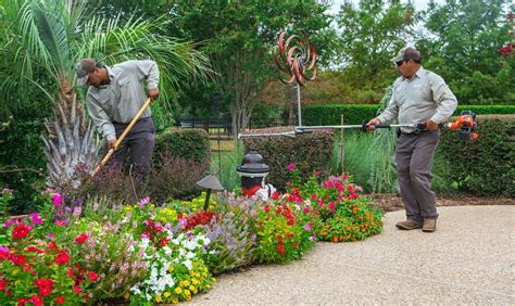 find   landscaping company  work