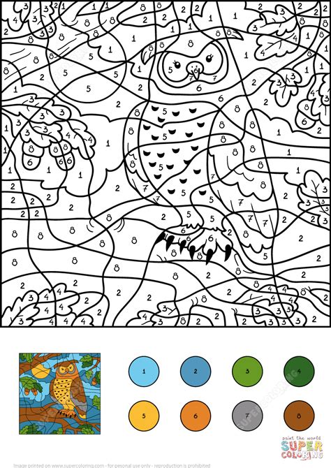 owl color  number  printable coloring pages