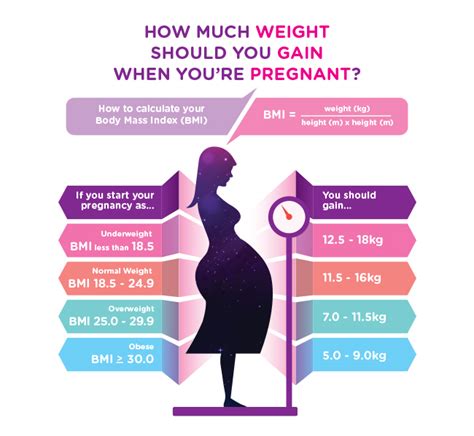 how much weight should you gain when you are pregnant anmum my