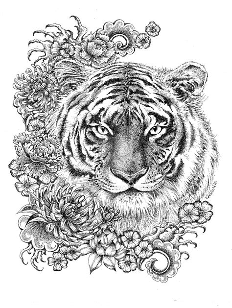 coloring pages  adults tiger png coloring  kids